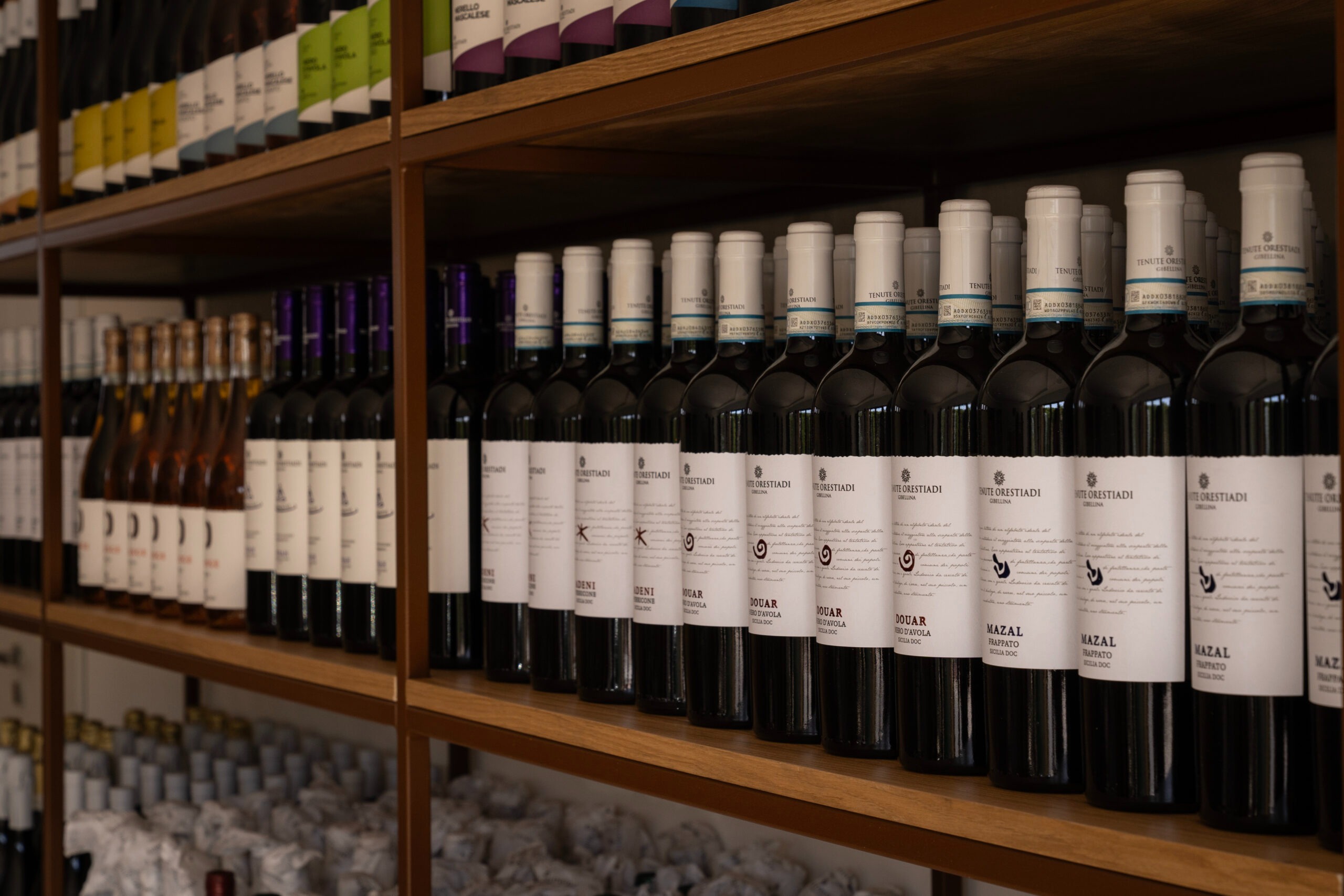 imgi_10_image00013-scaled