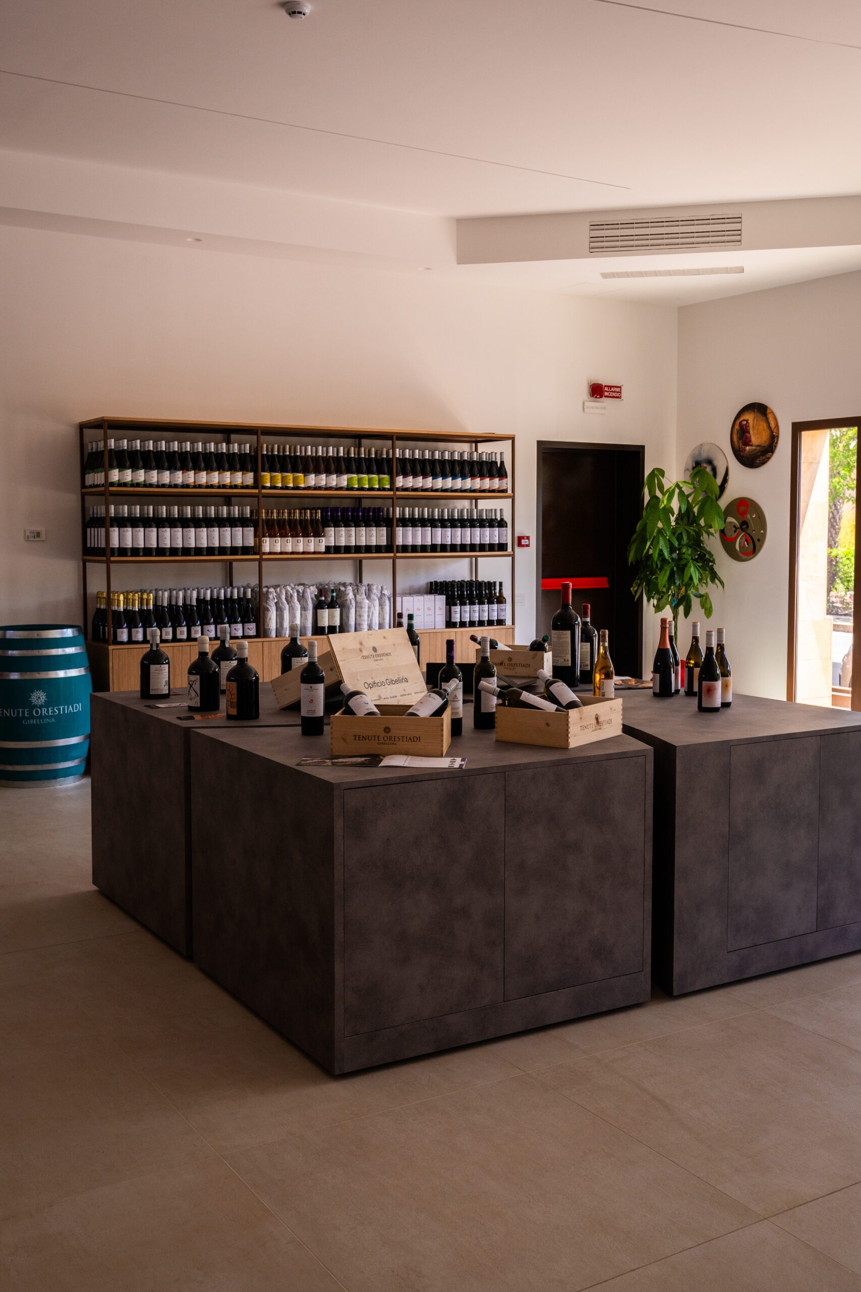 imgi_13_image00009-scaled