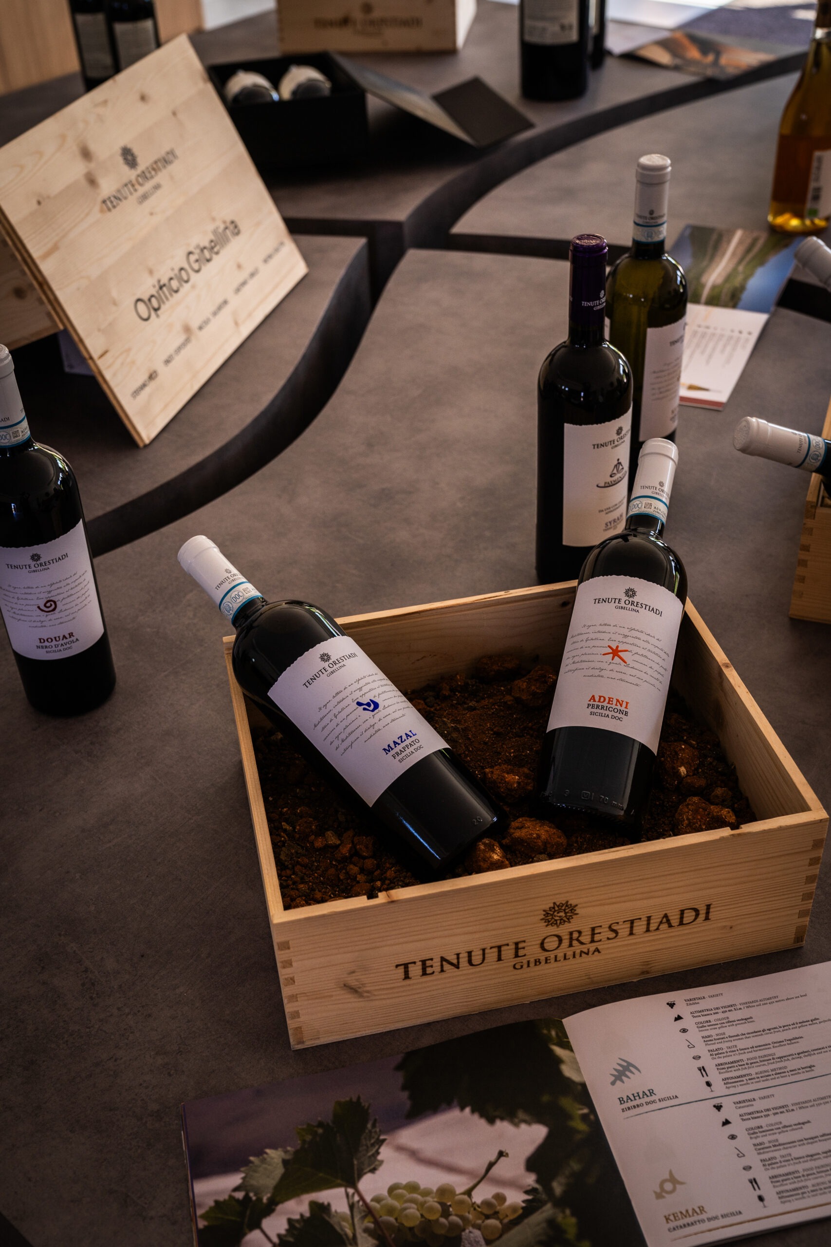 imgi_5_image00012-scaled